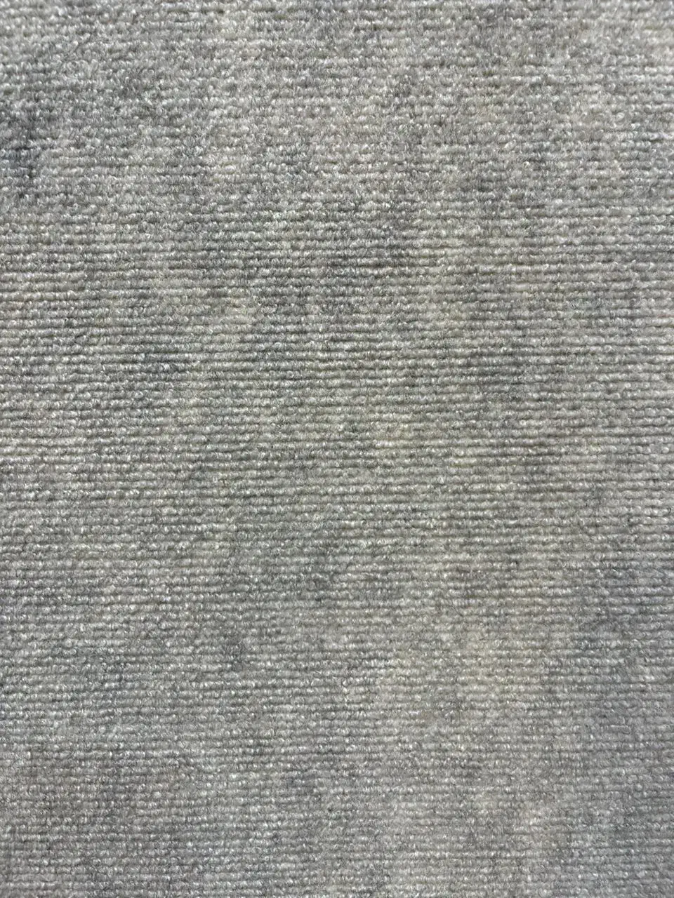 موکت ظریف|موکت|تبریز, |دیوار