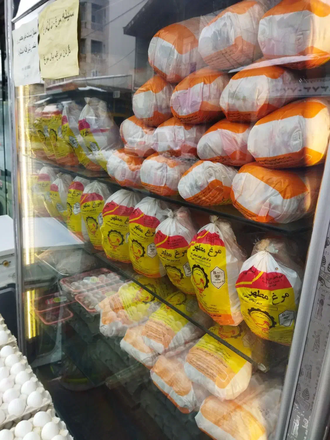 یخچال تمام استیل|یخچال و فریزر|رشت, پارک شهر|دیوار