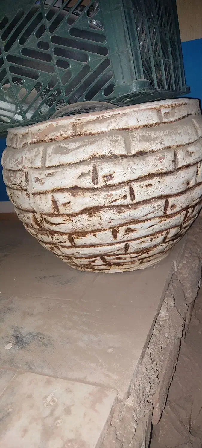 گلدان سفالی بزرگ|گل و گیاه طبیعی|تربت جام, شاد|دیوار