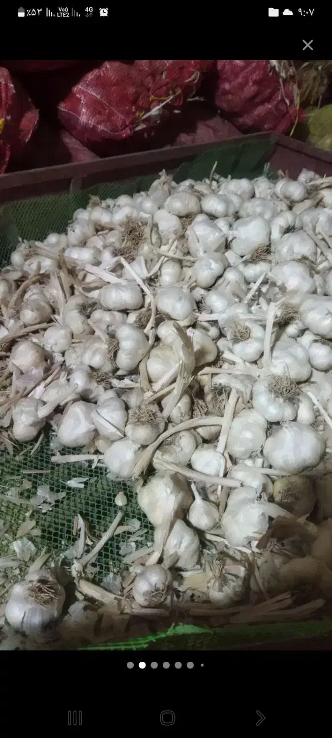 سیر|خوردنی و آشامیدنی|اشترینان, |دیوار