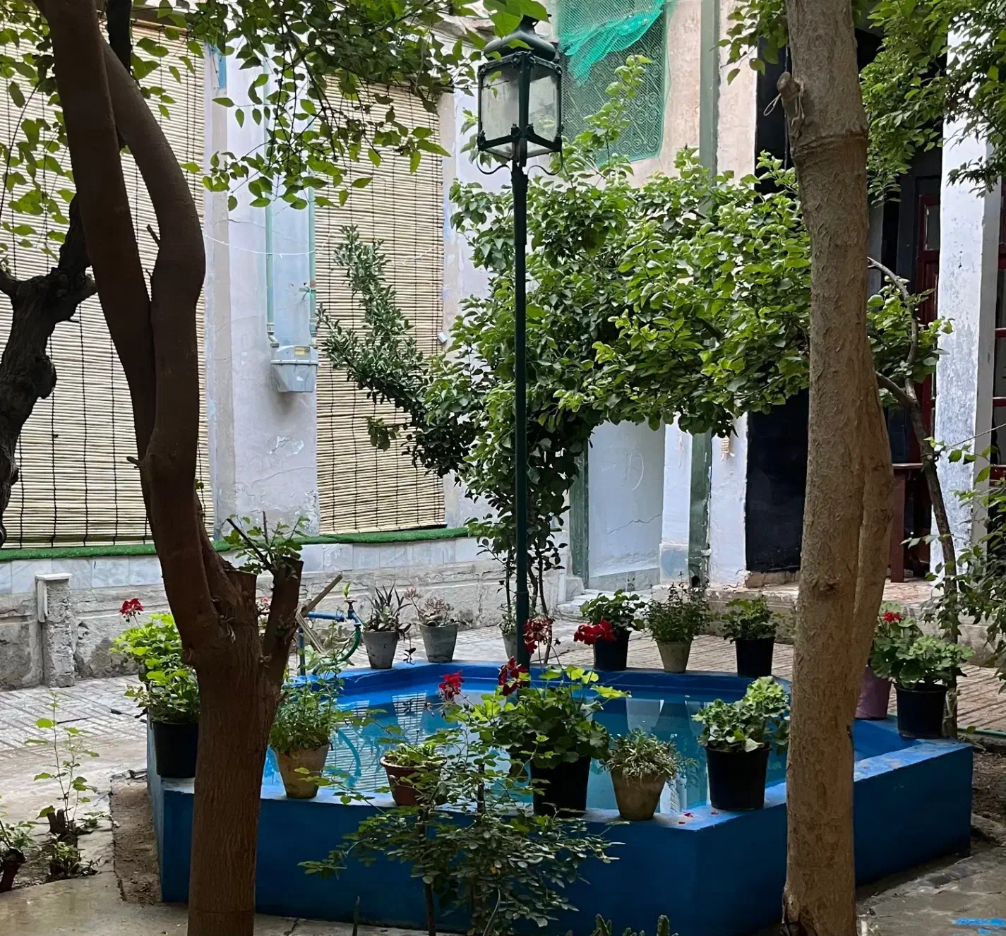 آموزش صفر تا صد اینستاگرام در آموزشگاه فنی حرفه ای|خدمات آموزشی|اصفهان, بیدآباد|دیوار