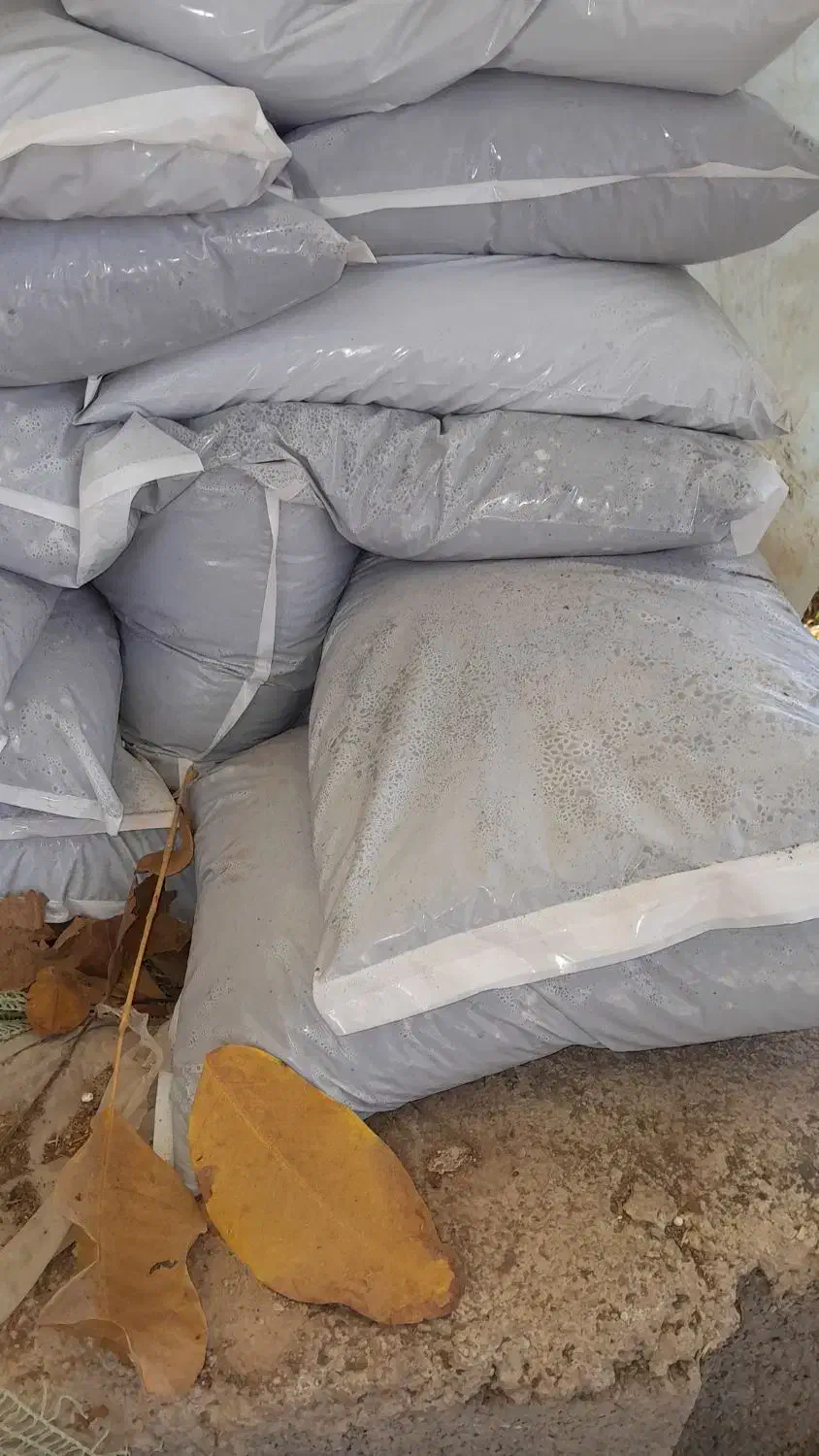 فروش گود برگ بصورت عمده در شهر قادرآباد|خدمات باغبانی و درختکاری|مشهد مرغاب, |دیوار