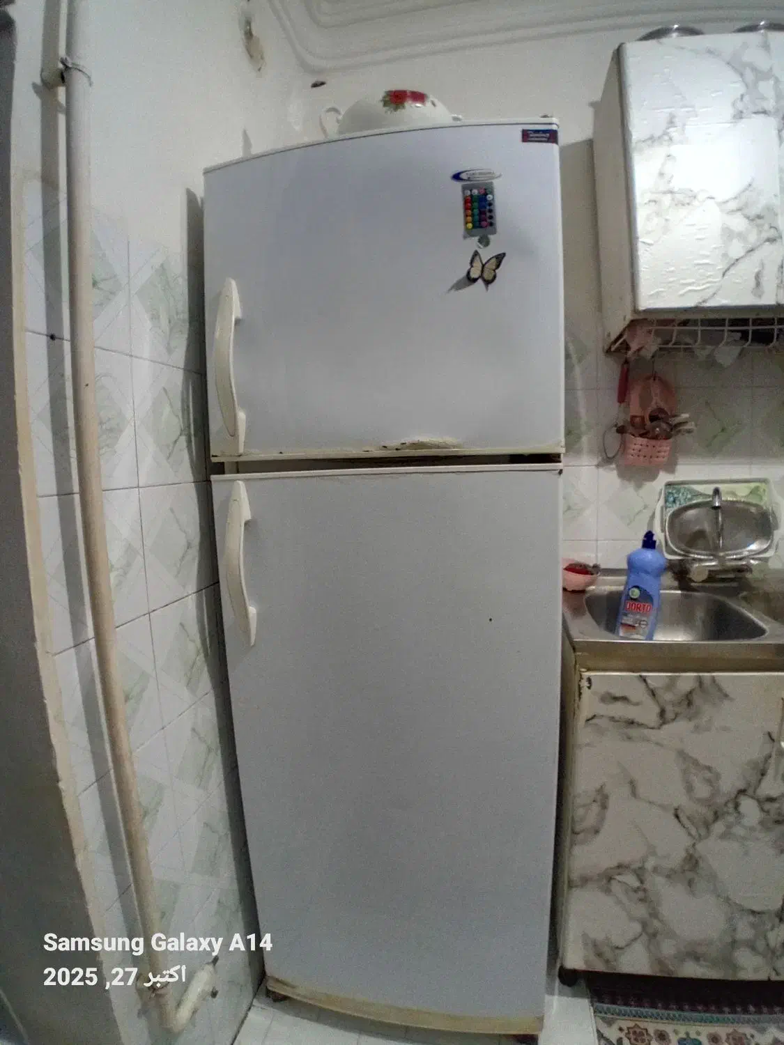 یخچال پارس شوا|یخچال و فریزر|رشت, اسماعیل آباد|دیوار