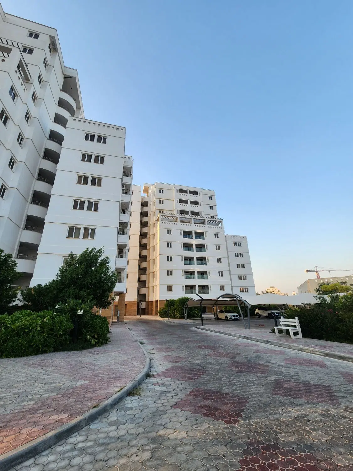 تصویر 3