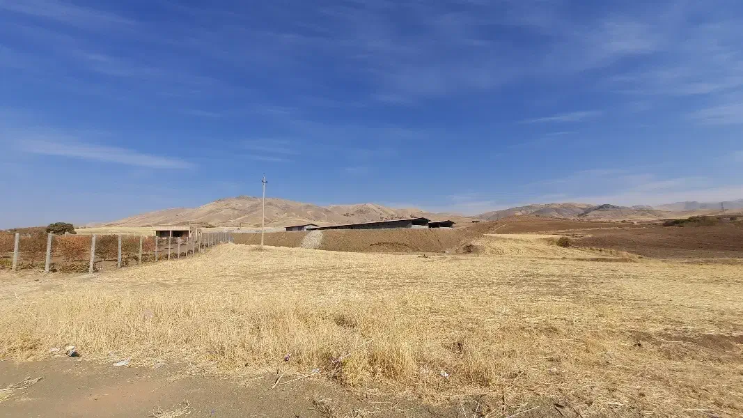 زمین کشاورزی|فروش دفتر صنعتی، کشاورزی، تجاری|کامیاران, |دیوار