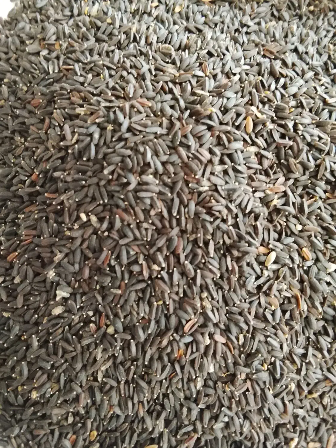 تخم شربتی|خوردنی و آشامیدنی|تربت جام, مطهری|دیوار