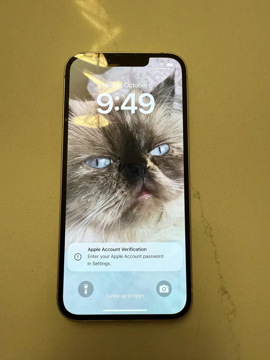 آیفون ۱۳ با ظرفیت ۵۱۲ - iPhone 13 512|موبایل|تهران, فرمانیه|دیوار