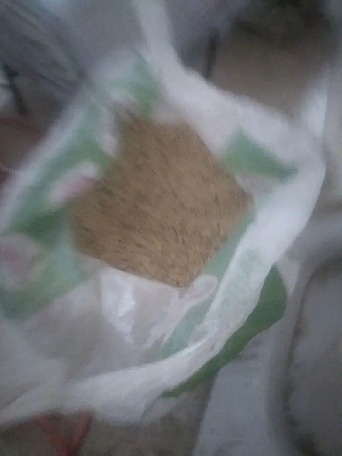 گندم|خدمات باغبانی و درختکاری|قره ضیاالدین, |دیوار