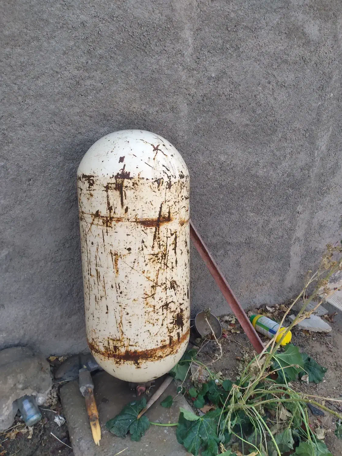 کپسول سی ان جی|قطعات یدکی و لوازم جانبی|فامنین, |دیوار