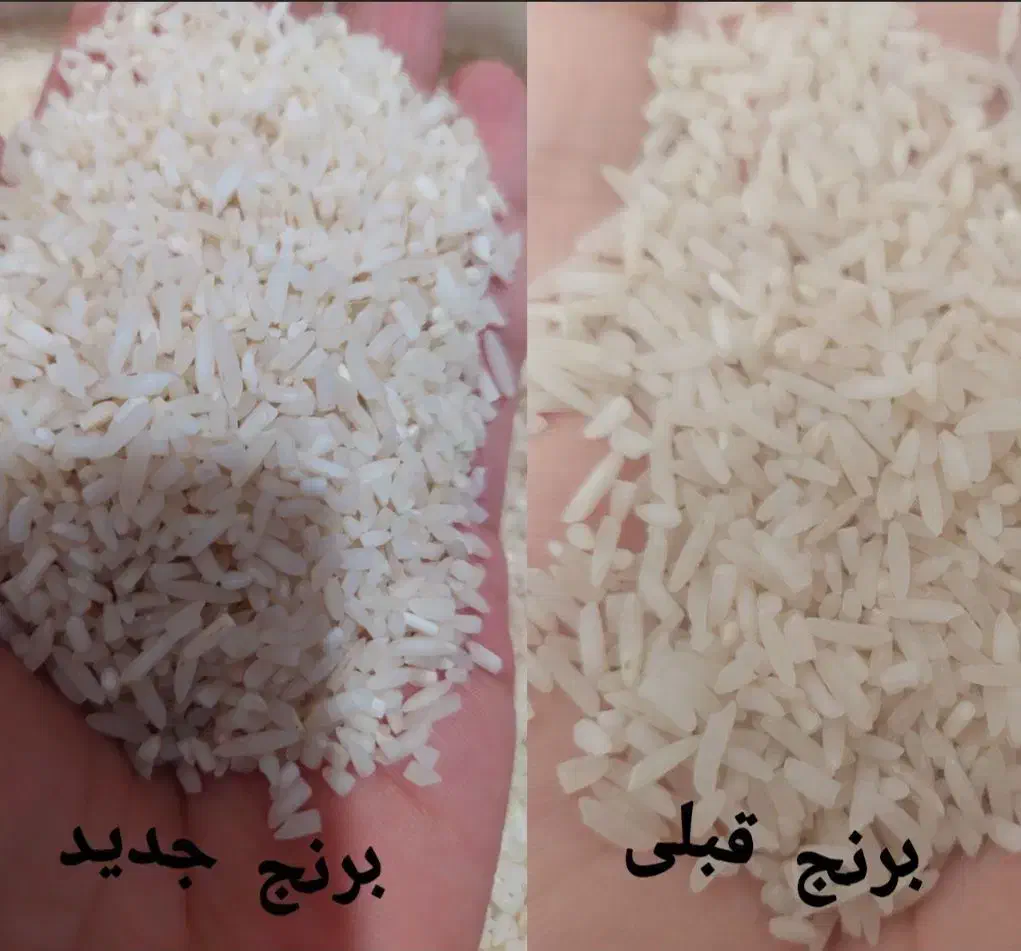 برنج هاشمی به شرط پخت سرلاشه وکامل صدرصدایران معطر|خوردنی و آشامیدنی|قرچک, شهرک طلائیه|دیوار