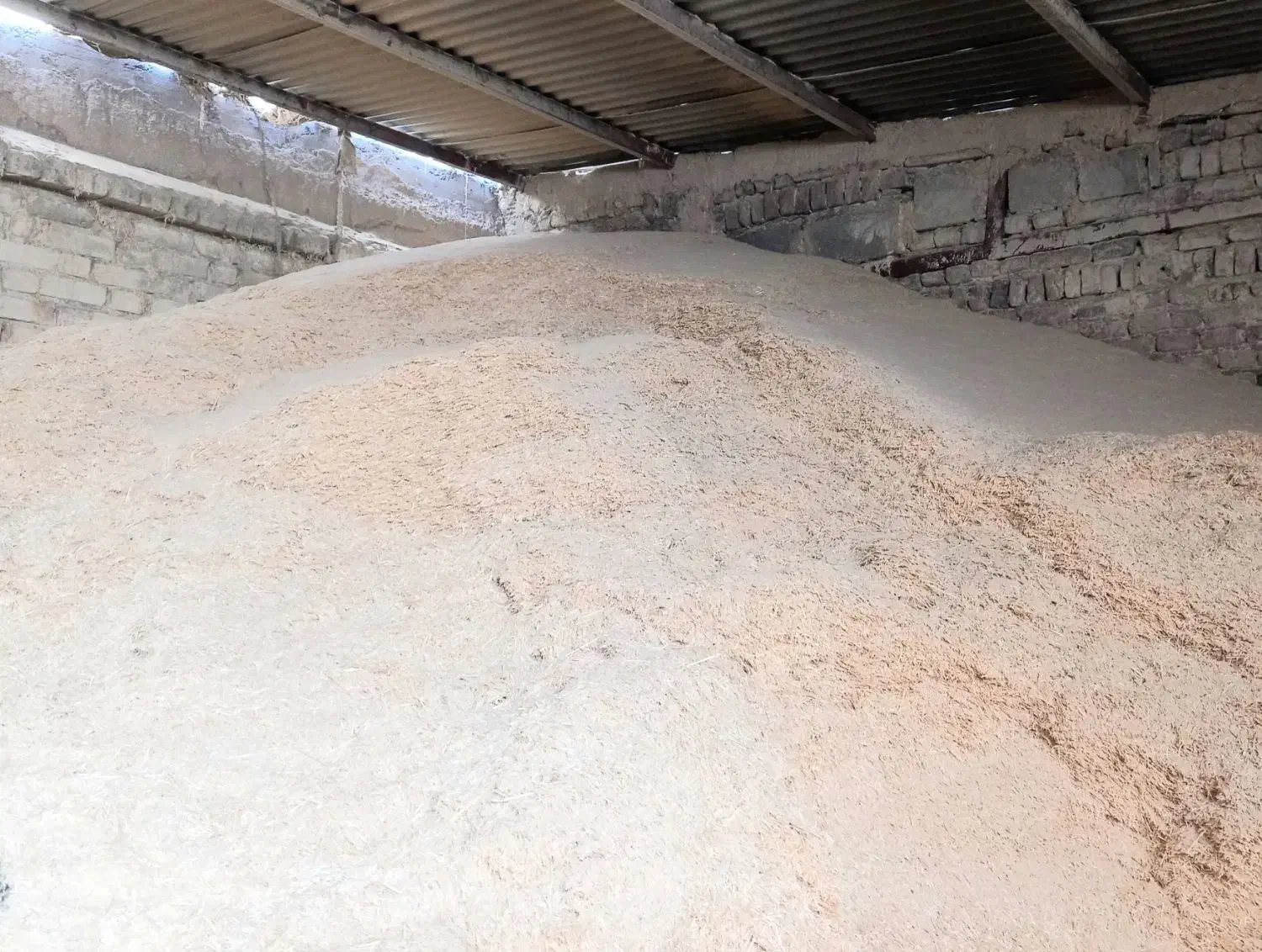 کاه گندم دیم سفیدونرم شلیت گرفته|لوازم جانبی حیوانات|زاغه, |دیوار