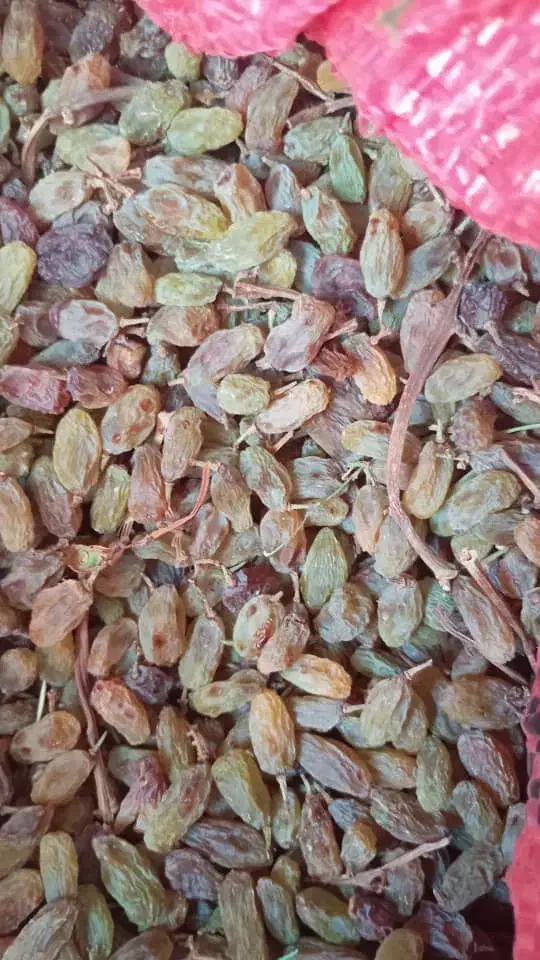 کشمش سایه خشک|خوردنی و آشامیدنی|یزد, |دیوار