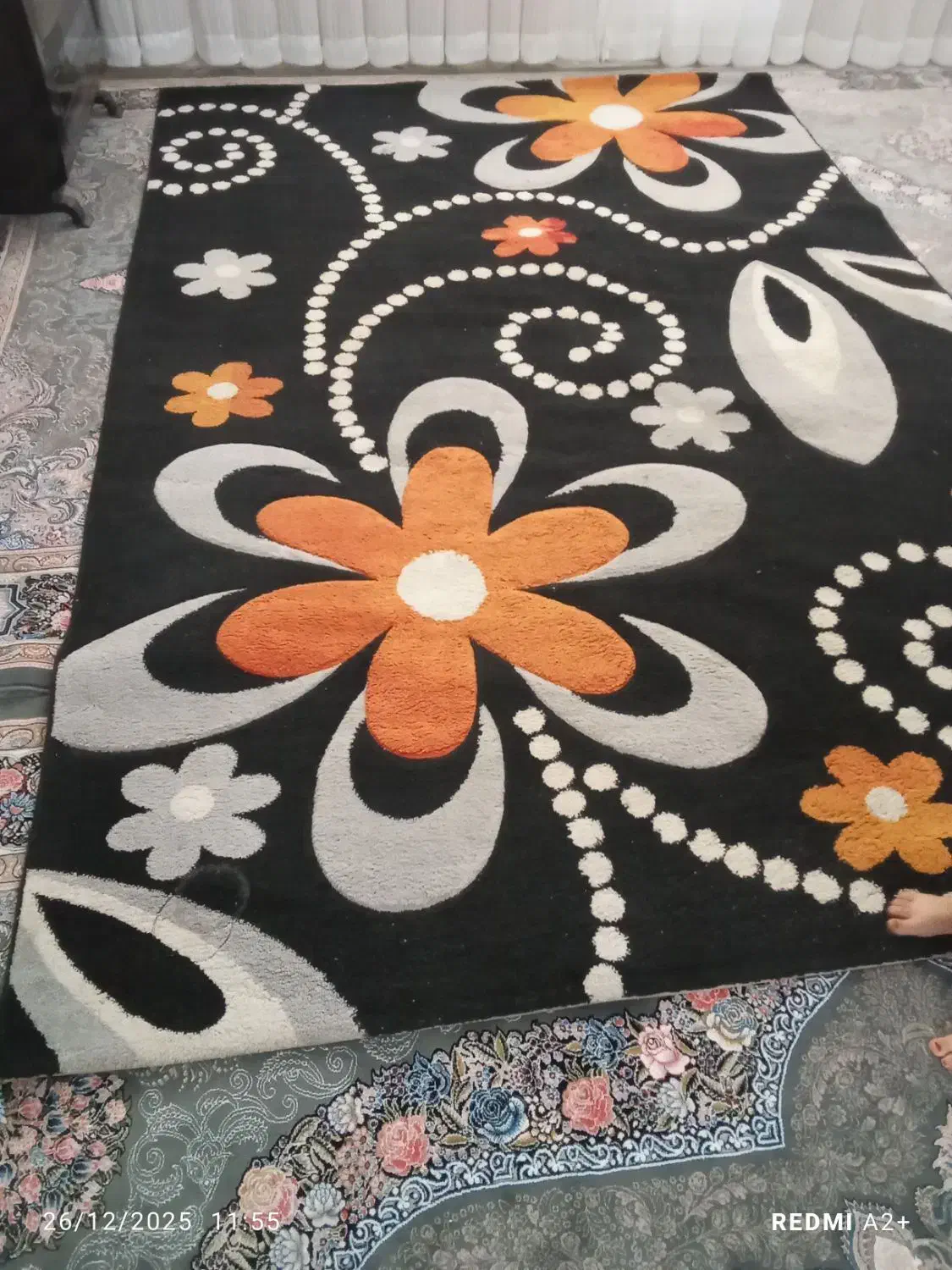 دوعددگلیم ۶متری و۴متری|گلیم، جاجیم، گبه|الوند, |دیوار