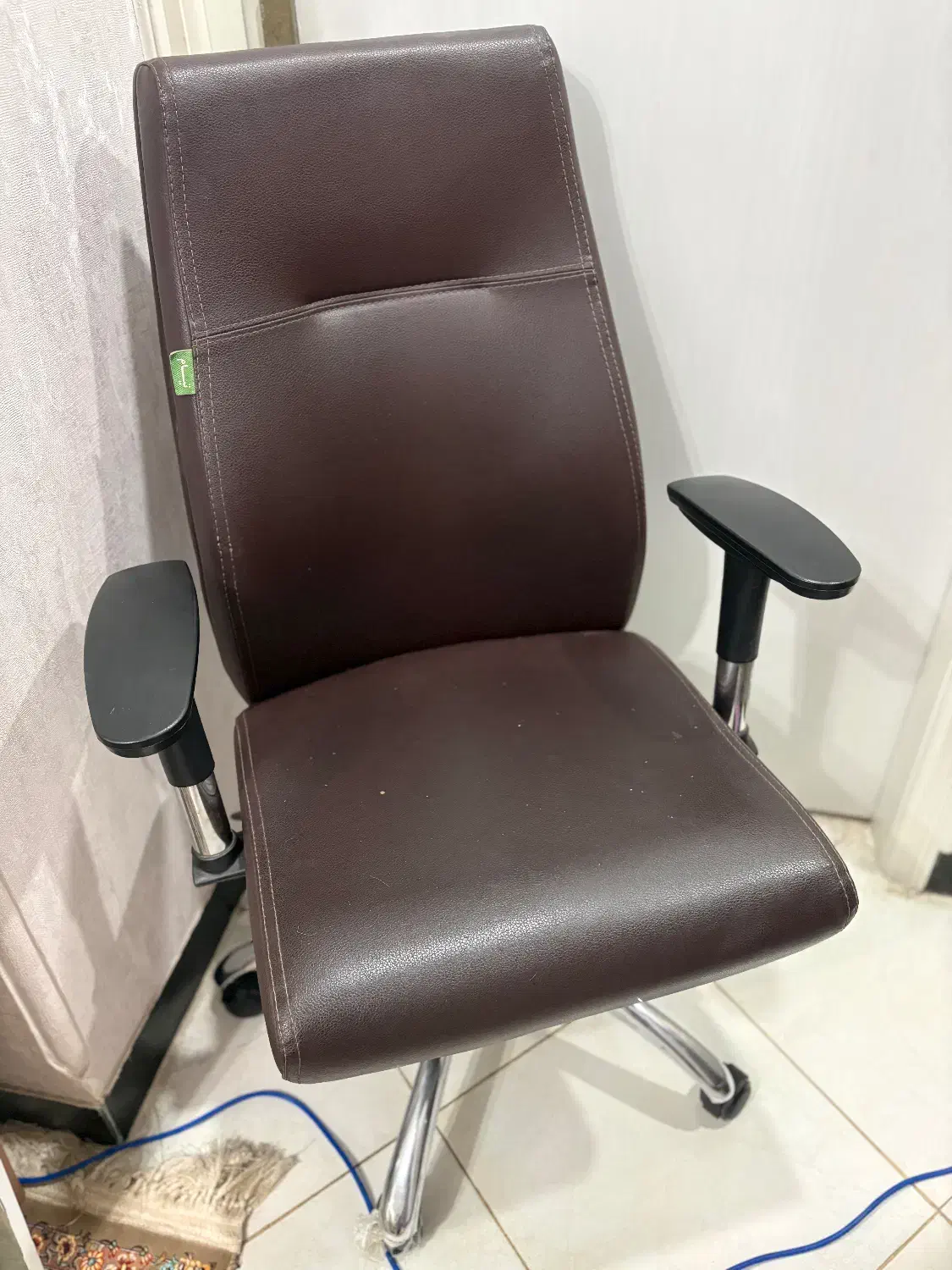 صندلی|صندلی و نیمکت|رشت, کاکتوس|دیوار