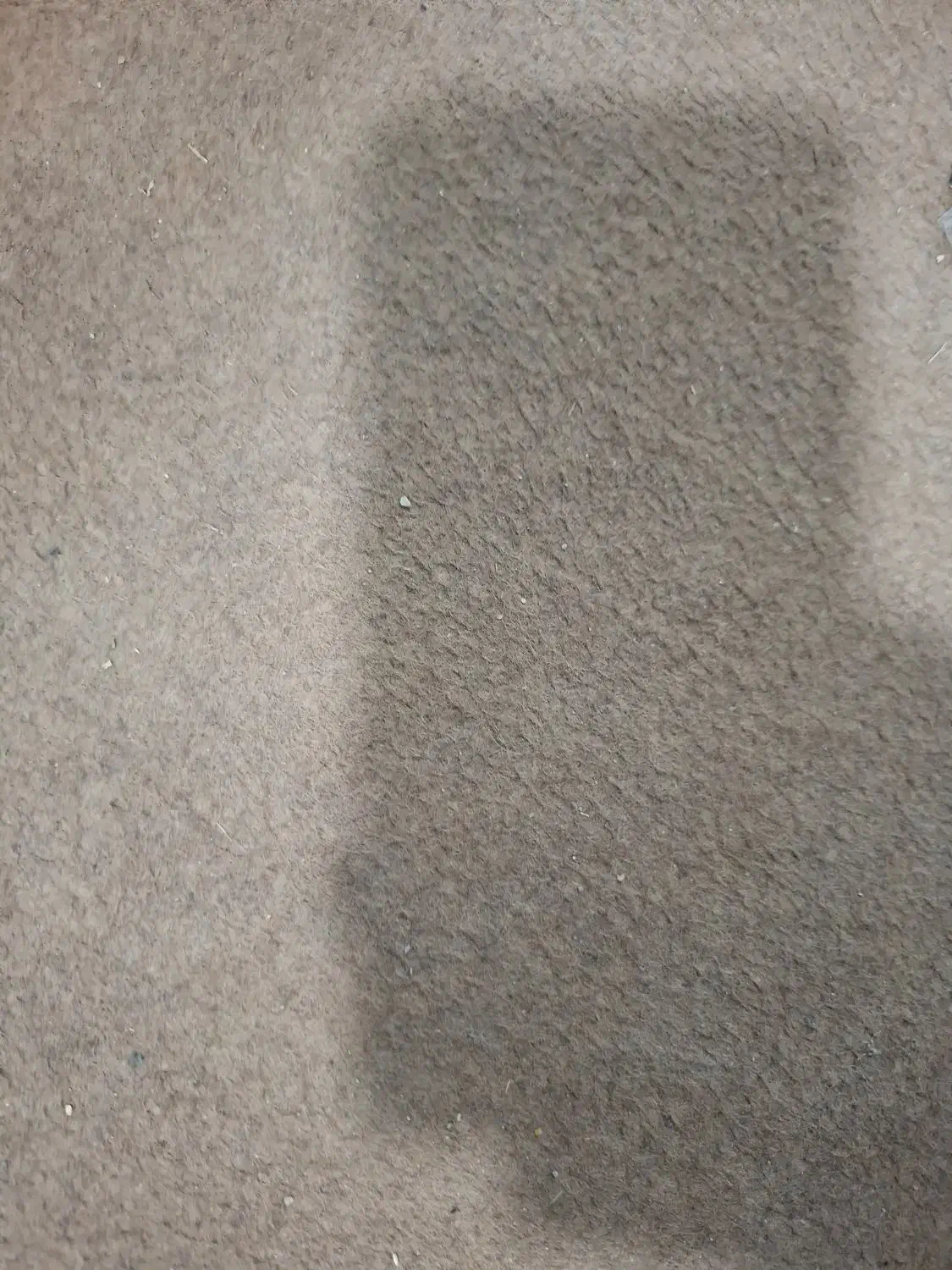 فروش زمین طرح ولایت|فروش زمین و ملک کلنگی|دهدشت, |دیوار