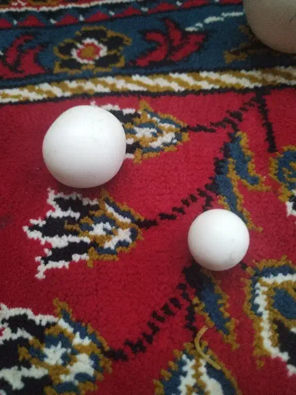 سنگ الماس|کلکسیون اشیاء عتیقه|تربت‌حیدریه, پائین ولایت|دیوار