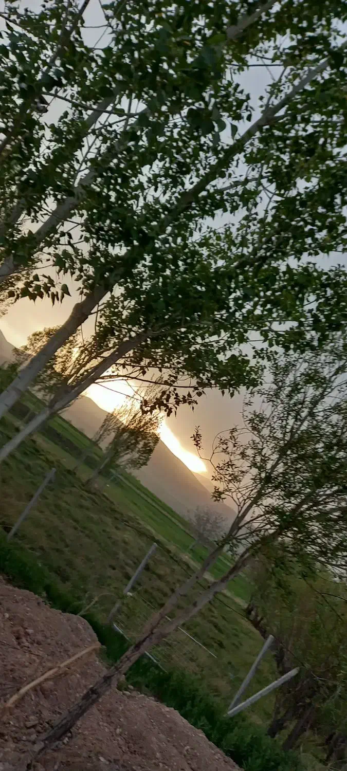 باغ|فروش خانه و ویلا|بهار, |دیوار