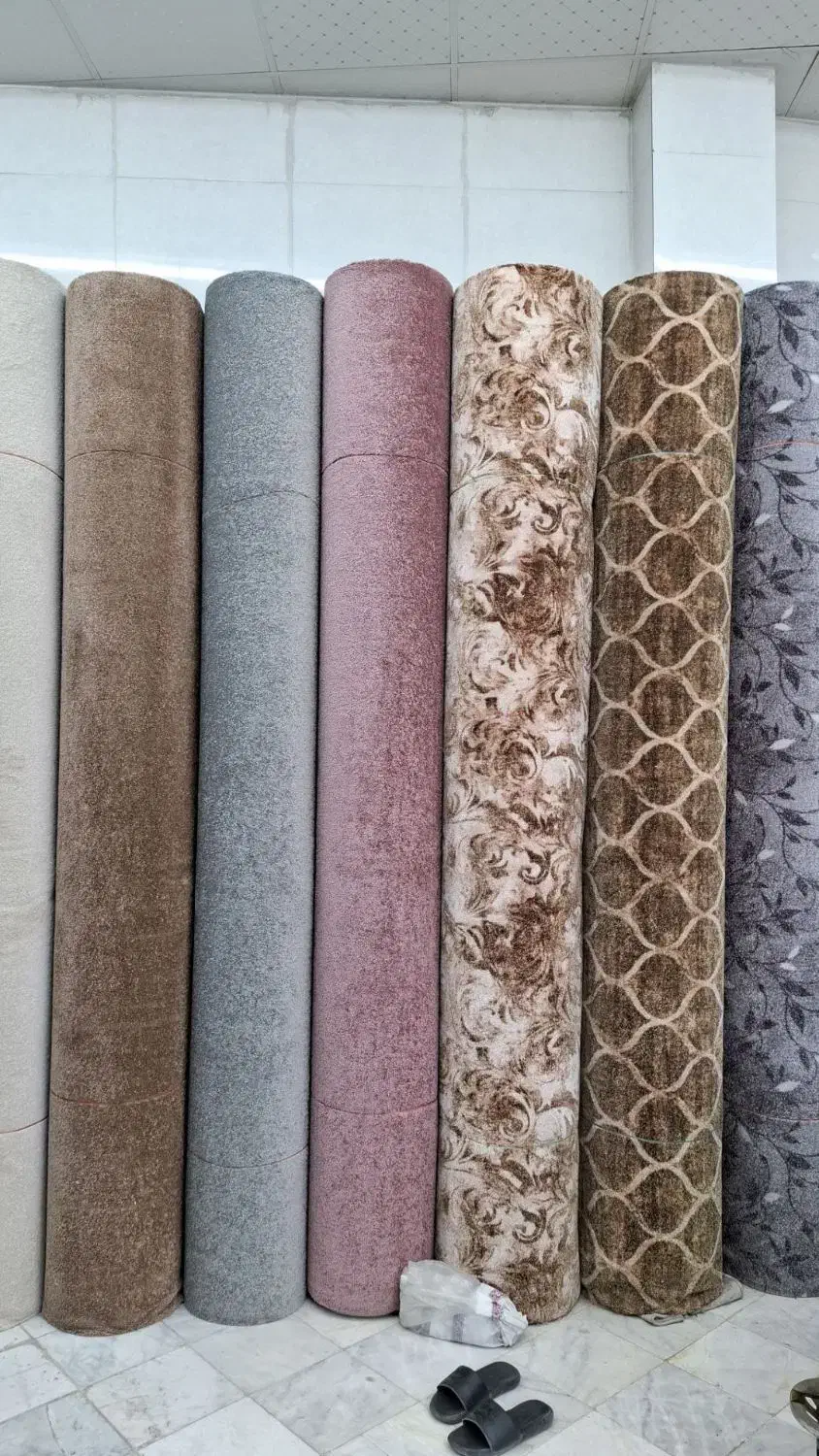 پالاز موکت|موکت|بجنورد, |دیوار