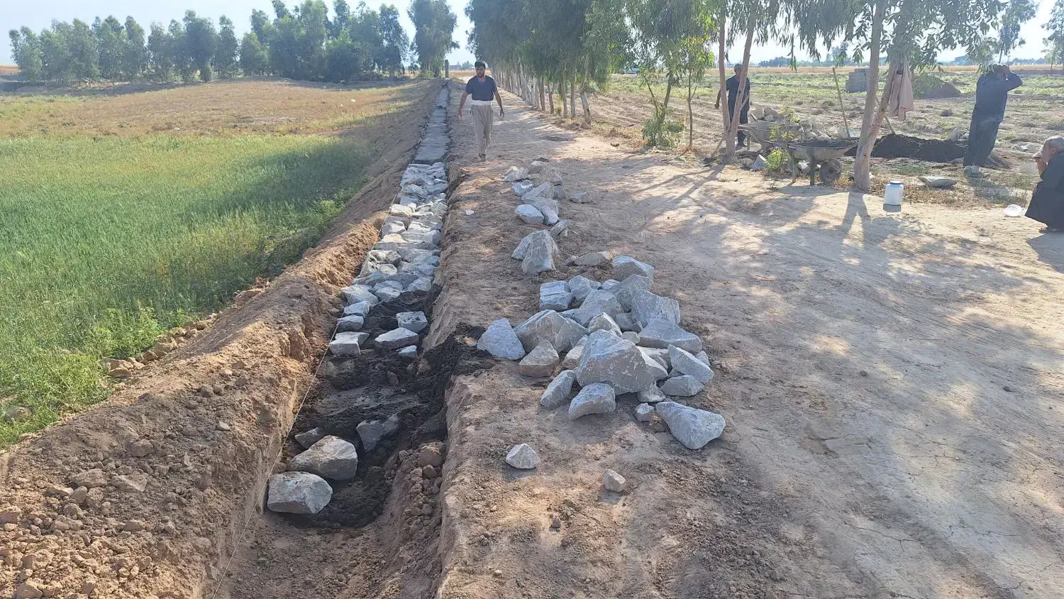 زمین به پلاک های ۵۰۰ ، ۱۰۰۰ متری بفروش می رسد|فروش دفتر صنعتی، کشاورزی، تجاری|شوشتر, |دیوار