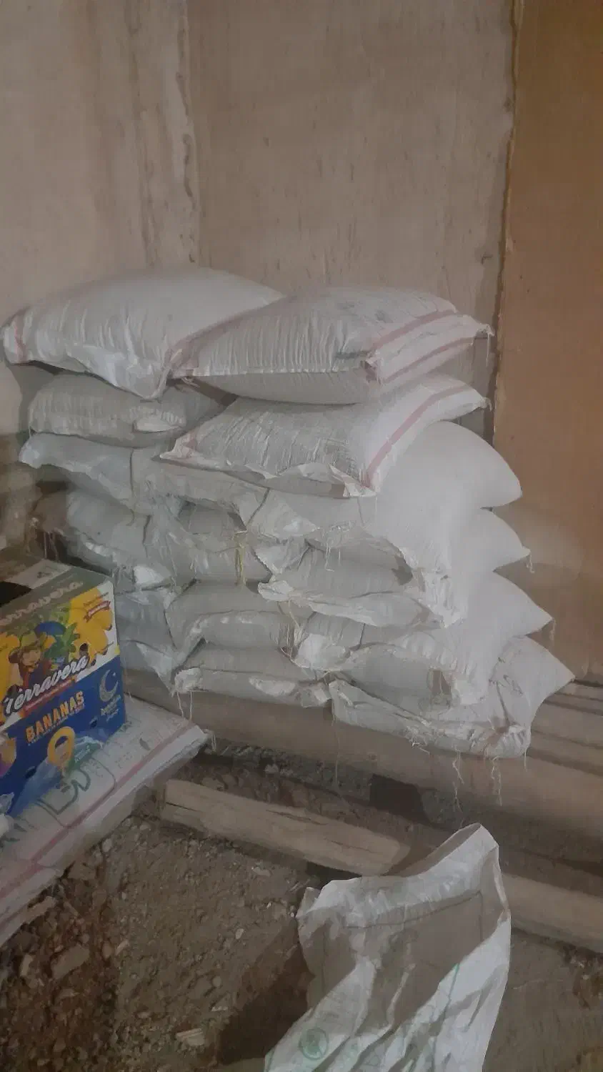 گندم بذری رقم باران|لوازم جانبی حیوانات|بلبان آباد, |دیوار