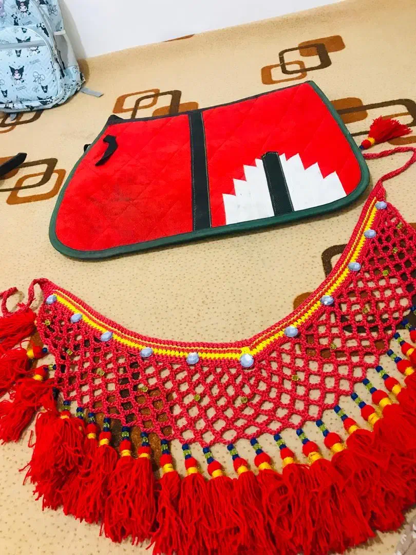 دهنه و کله گیر،عرق گیر ،سینه بند|اسب و تجهیزات اسبسواری|بوشهر, |دیوار