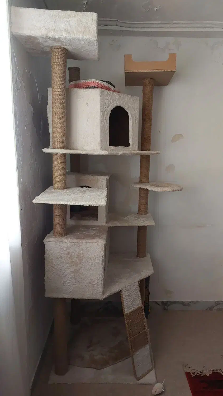 درخت گربه|لوازم جانبی حیوانات|لاهیجان, فیاض|دیوار