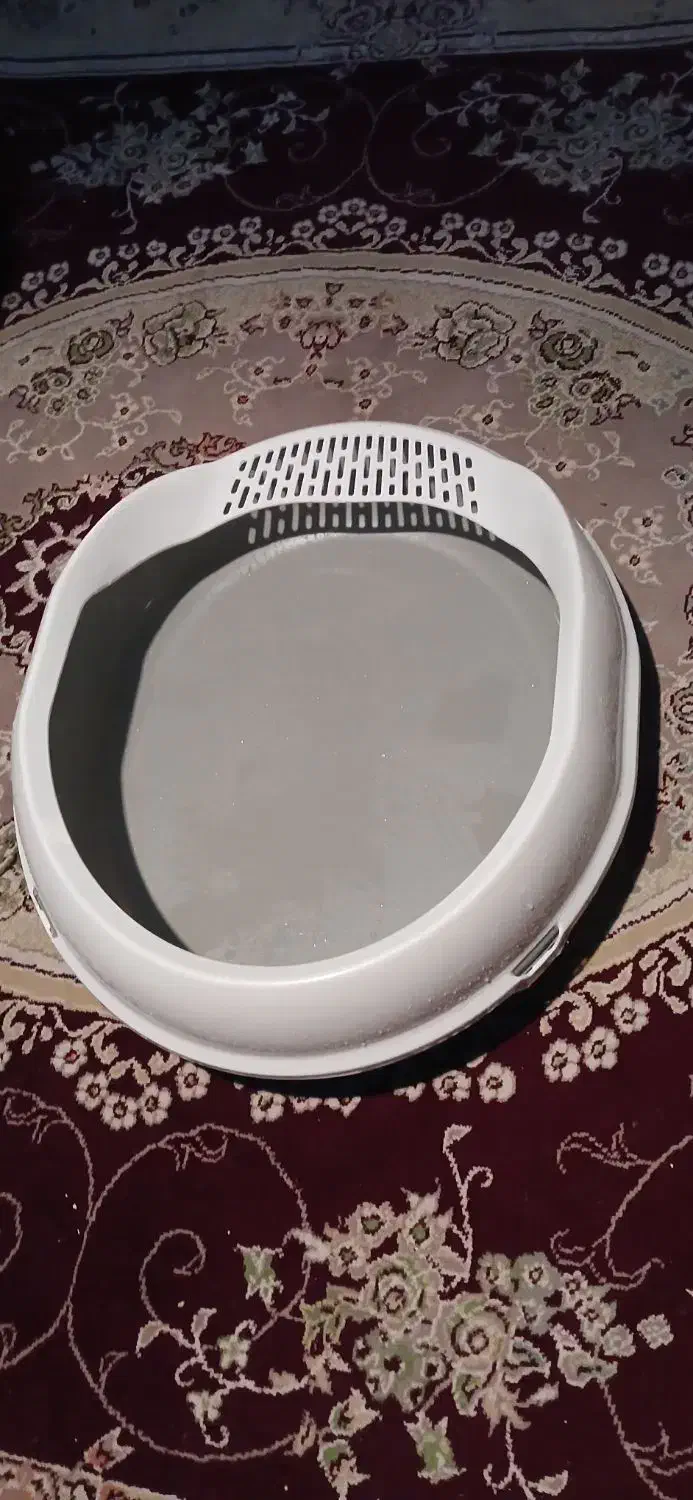 ظرف خاک گربه|گربه|قم, چهل درخت|دیوار