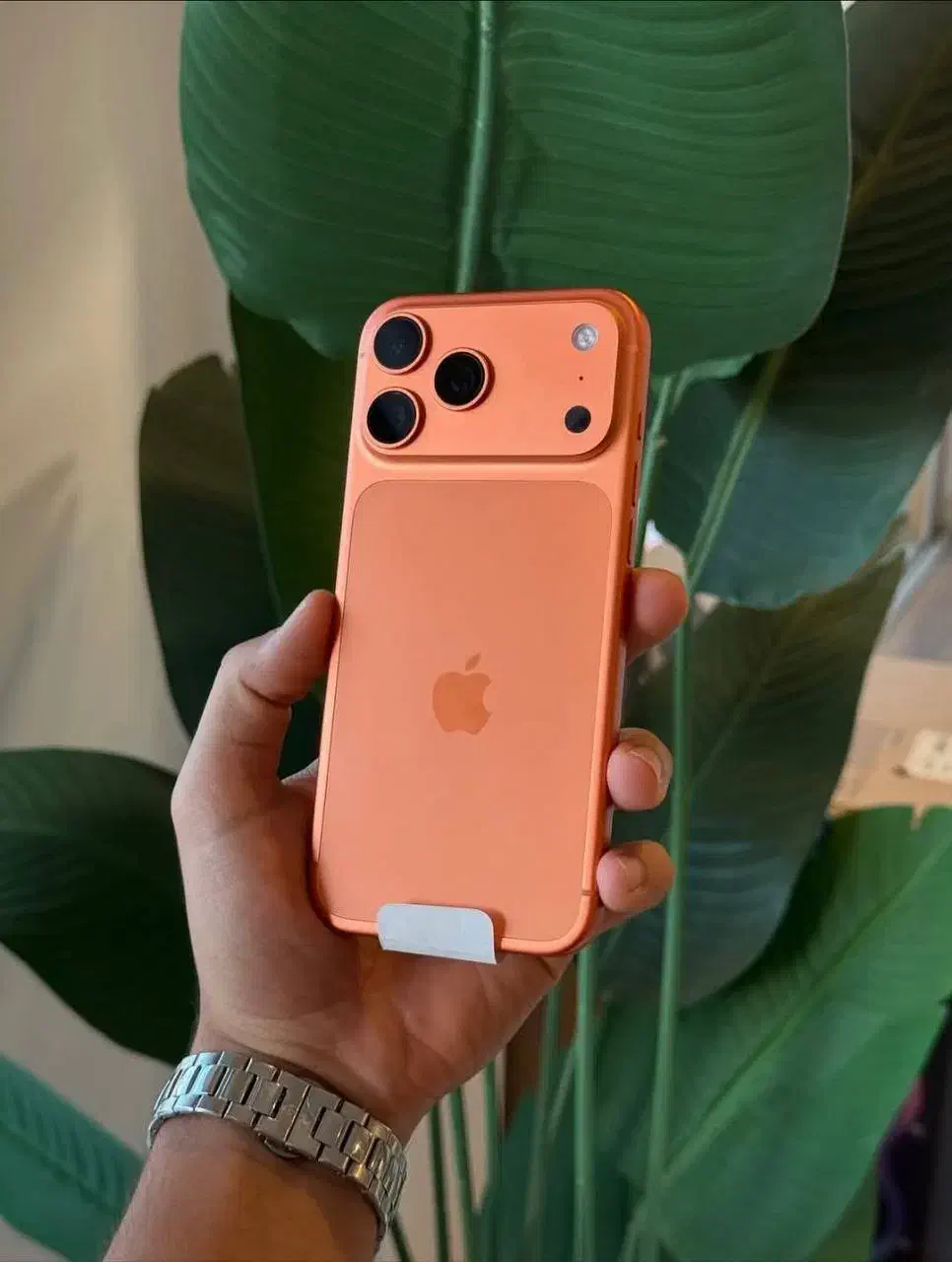 فروش انواع آیفون های سری ۱۷|موبایل|تهران, ونک|دیوار