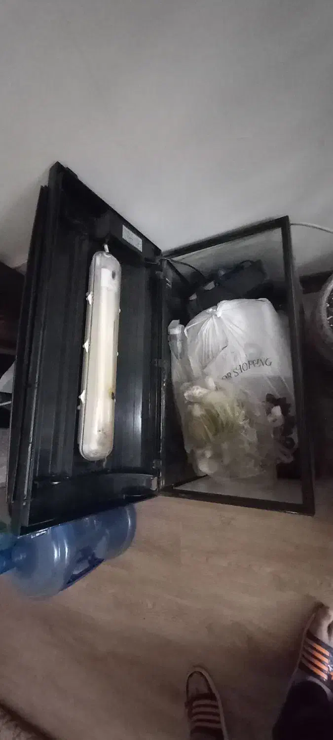 آکواریم شرکتی با لوازم|ماهی|تهران, افسریه شمالی|دیوار