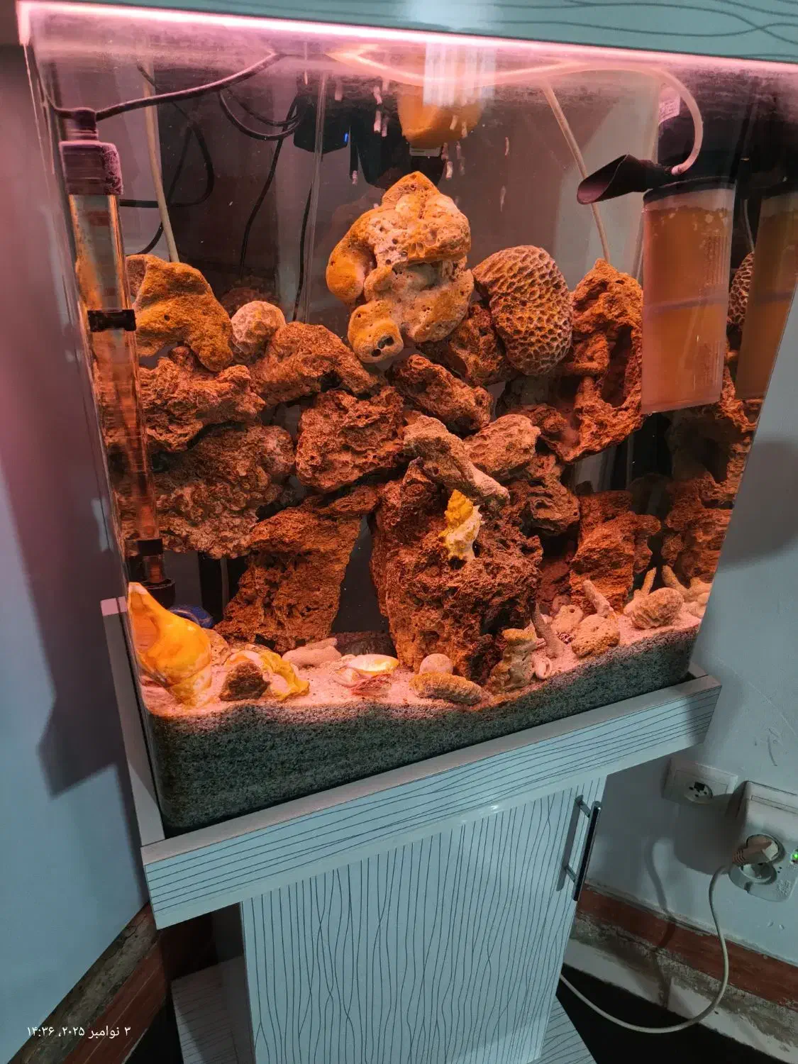 آکواریوم شیشه خم با وسایل|ماهی|صباشهر, |دیوار