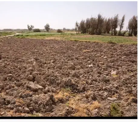 زمین کشاورزی|فروش زمین و ملک کلنگی|خرم‌آباد, |دیوار