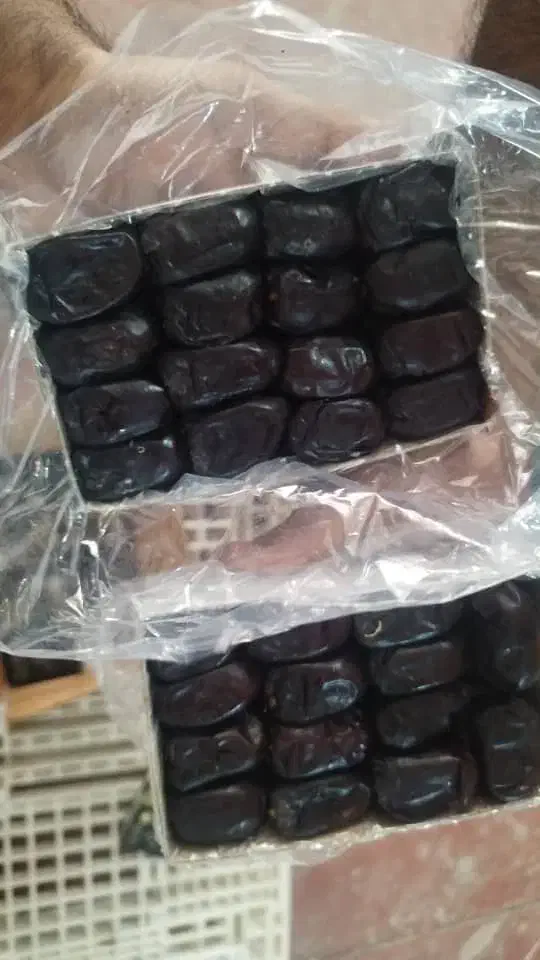 خرما مضافتی|عمده‌فروشی|تهران, جوادیه|دیوار