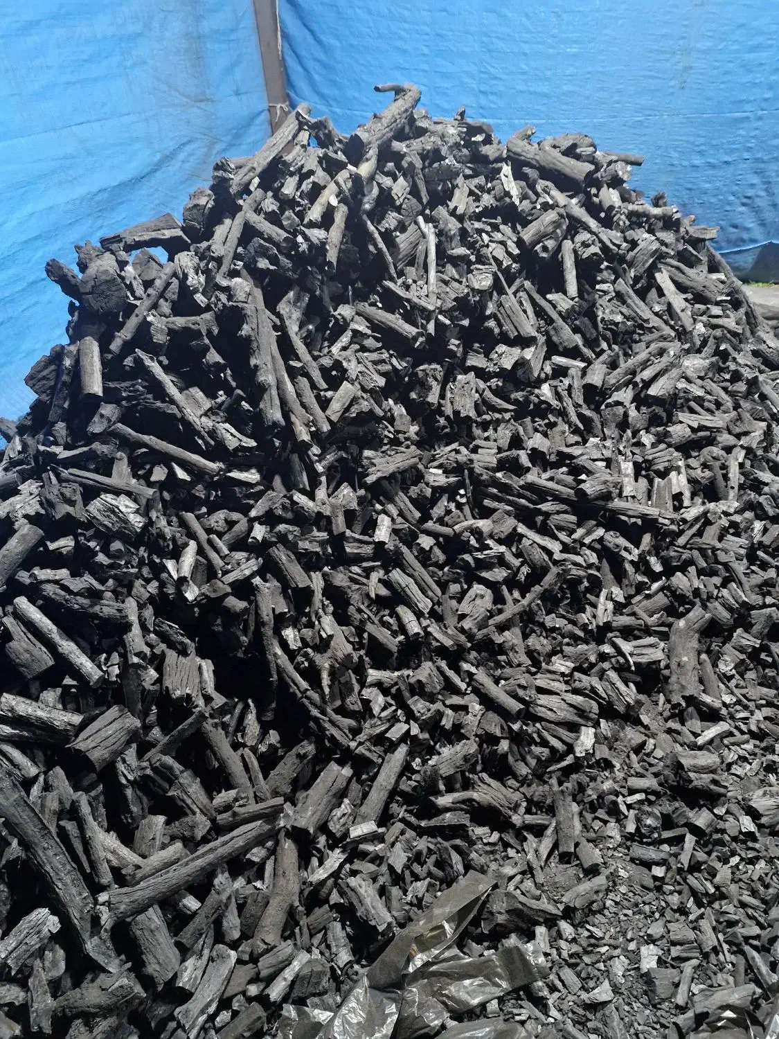 ذغال کبابی|عمدهفروشی|مرودشت, فاز اول شهرک فرهنگیان|دیوار