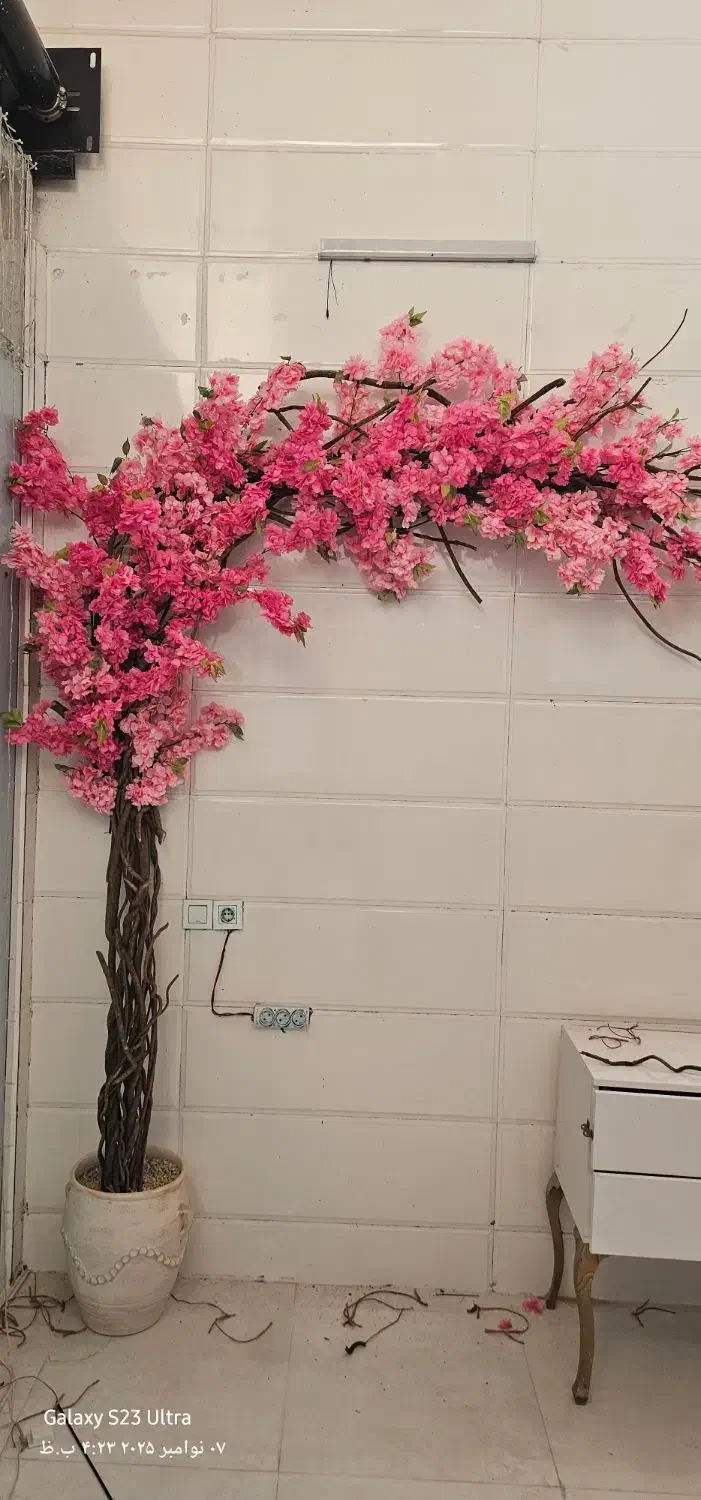درختچه های شکوفه|گل مصنوعی|شیراز, گود عربان|دیوار