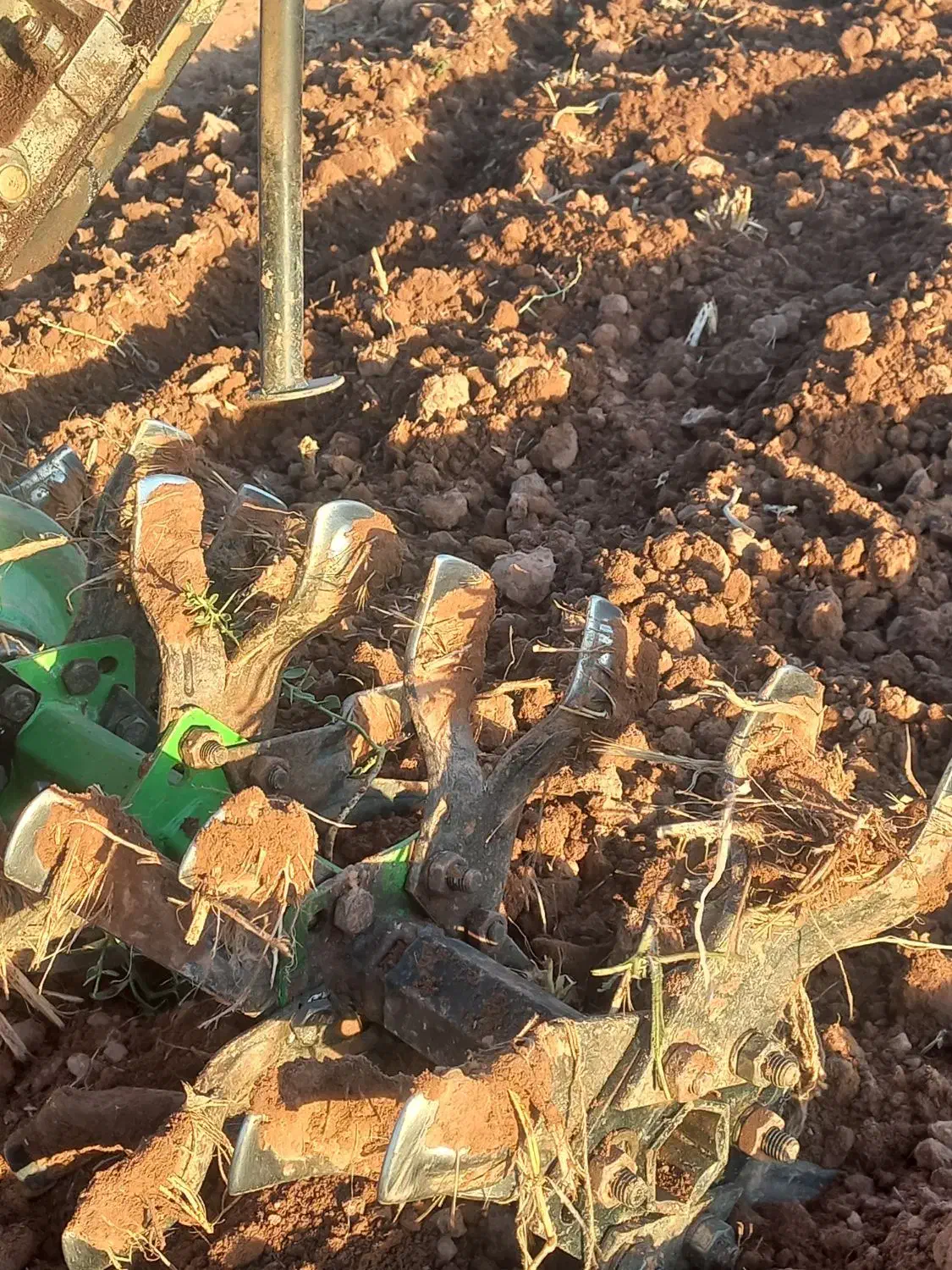 شخم زدن زمین زعفران با دستگاه ۷/۵سبک با تیغه مخصوص|خدمات باغبانی و درختکاری|نیشابور, فضل|دیوار