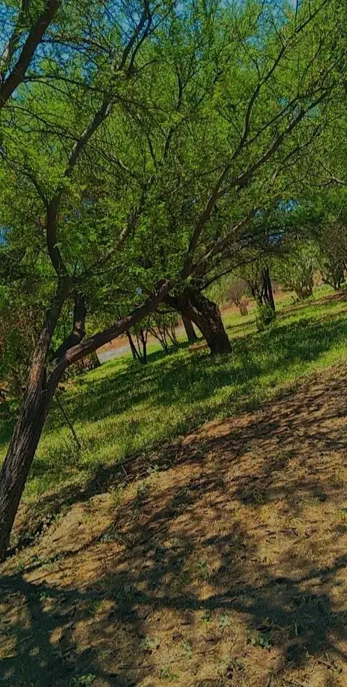 فروش باغ چهارمحال و بختیاری|فروش زمین و ملک کلنگی|بابا حیدر, |دیوار