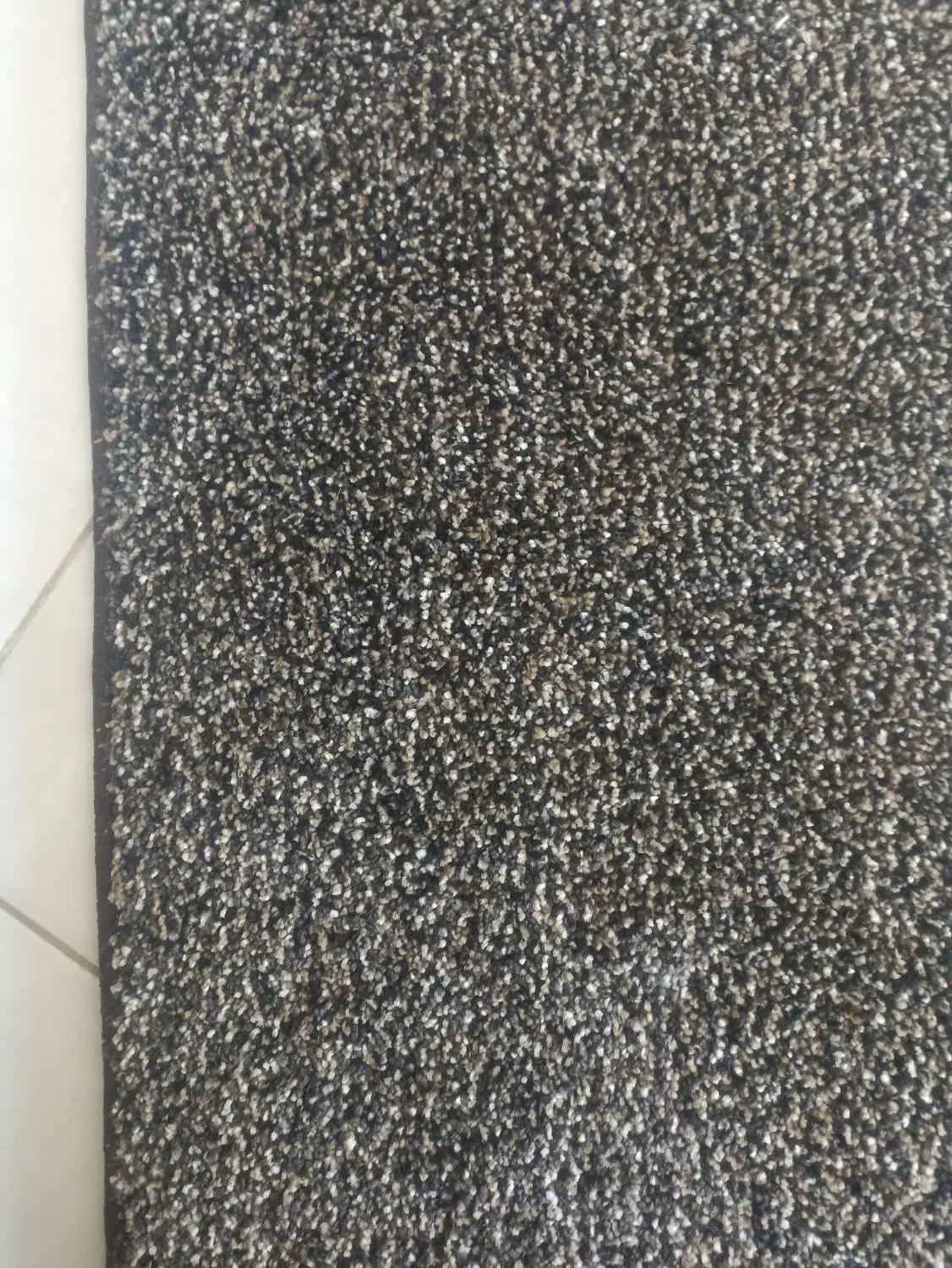 2عدد پلازموکت 3/4نو درجه یک اصلا استفاده نشده|موکت|بانه, |دیوار