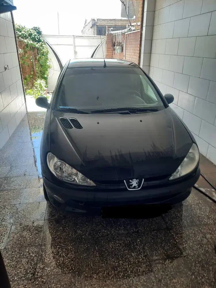 ۲۰۶ خانگی|خودرو سواری و وانت|شهرکرد, |دیوار