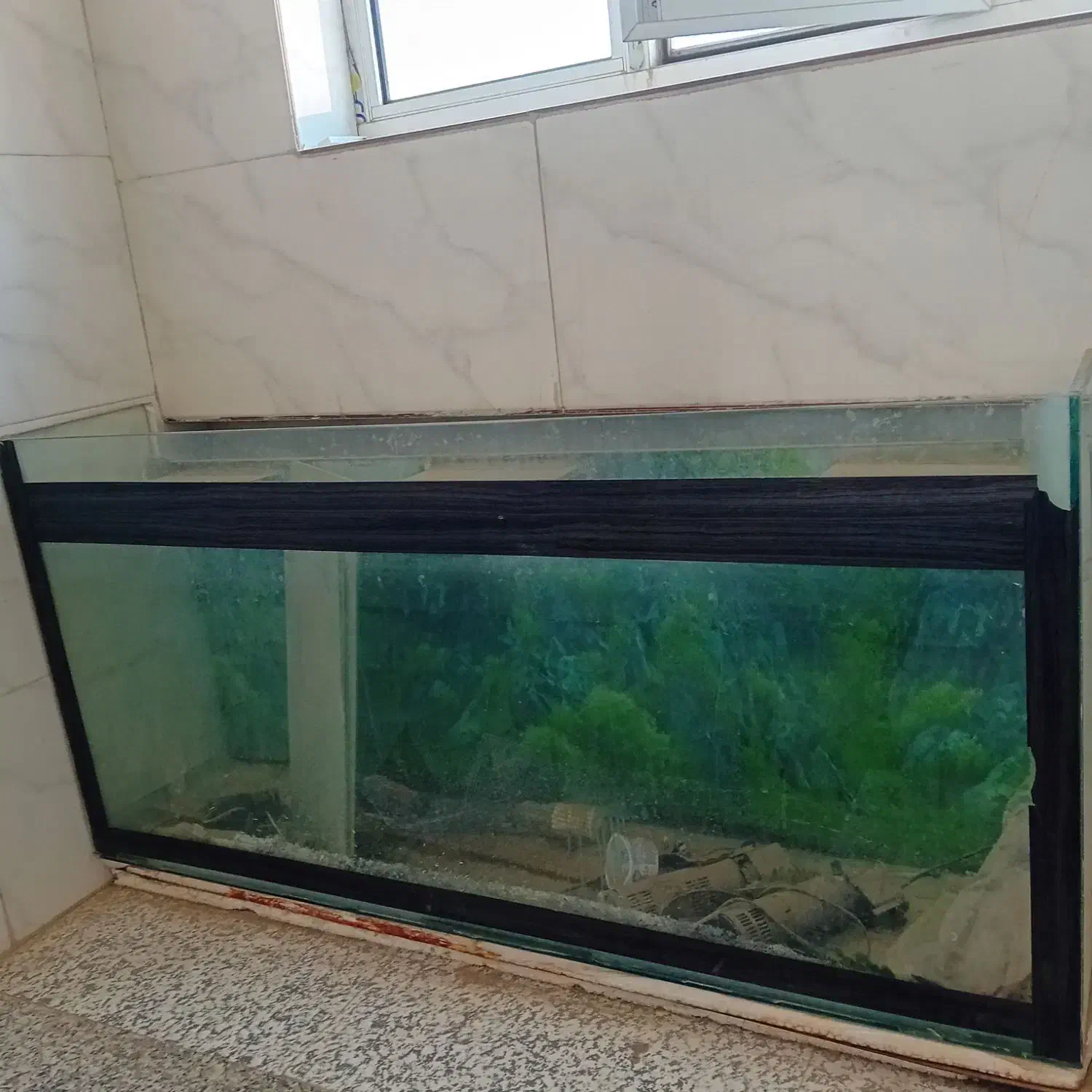 آکواریوم سالم تمیز،باهمه امکانات|ماهی|مبارکه, |دیوار