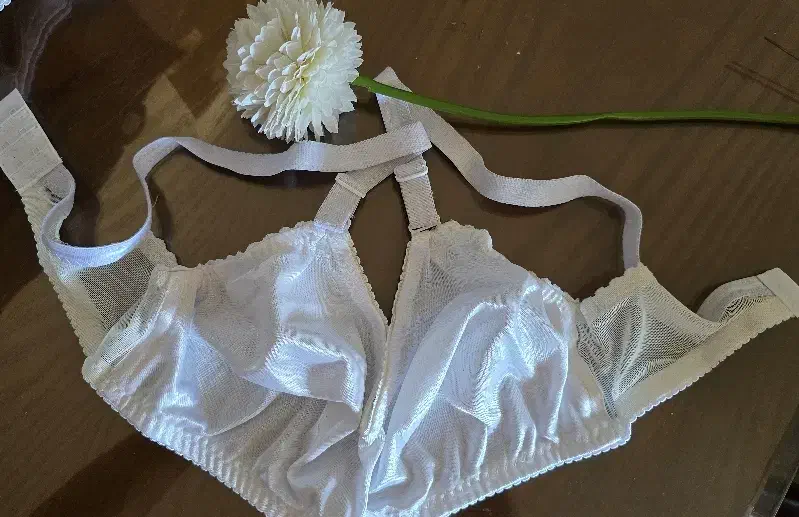 سوتین|لباس|یزد, |دیوار