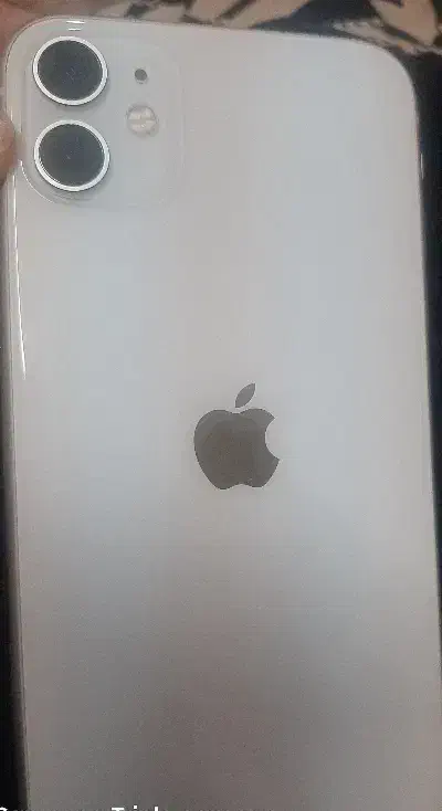 گوشی آیفون ۱۱ نرمال|موبایل|شیراز, بریجستون|دیوار
