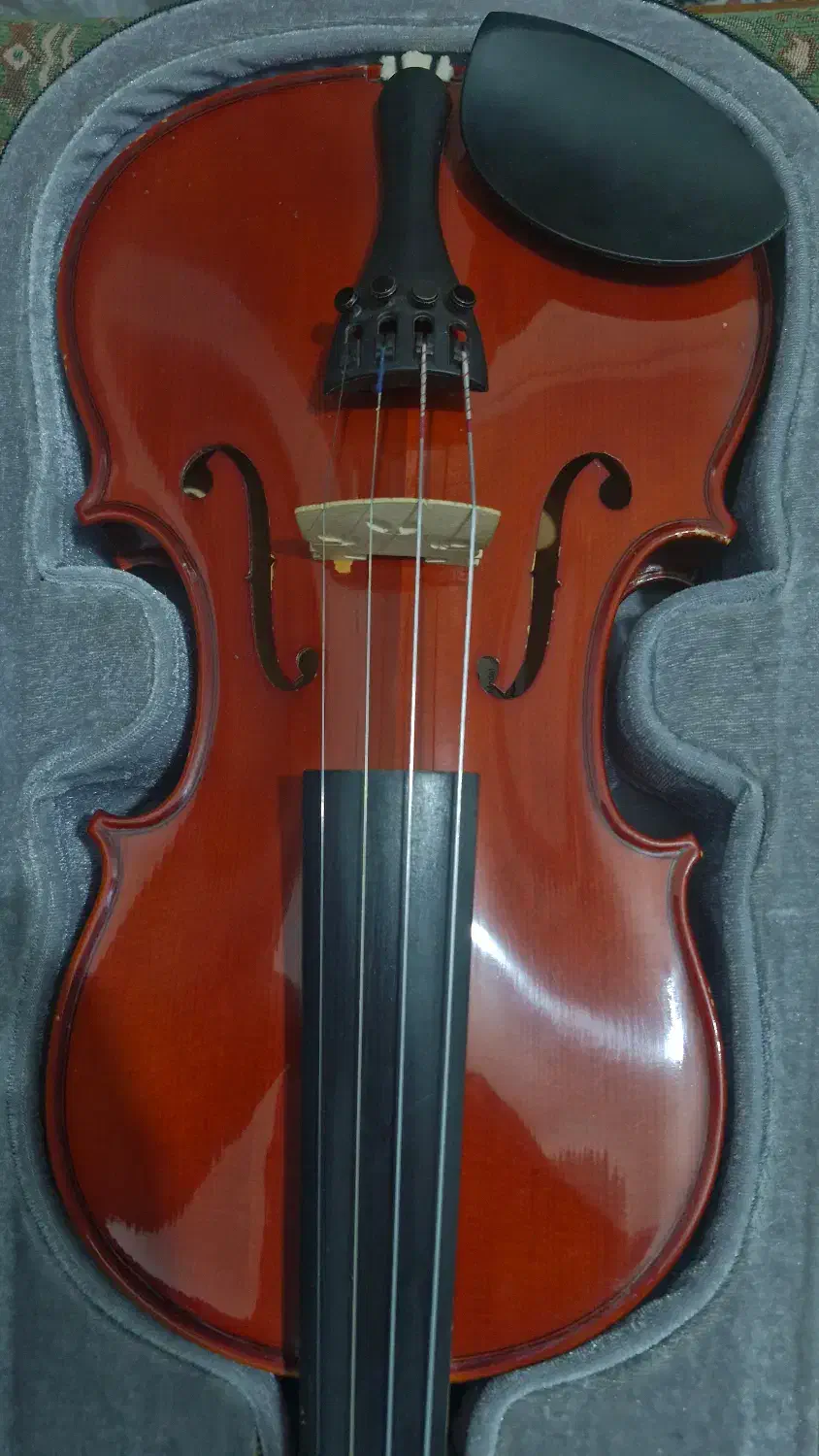 ویولن برند Smith|ویولن|تهران, پونک|دیوار