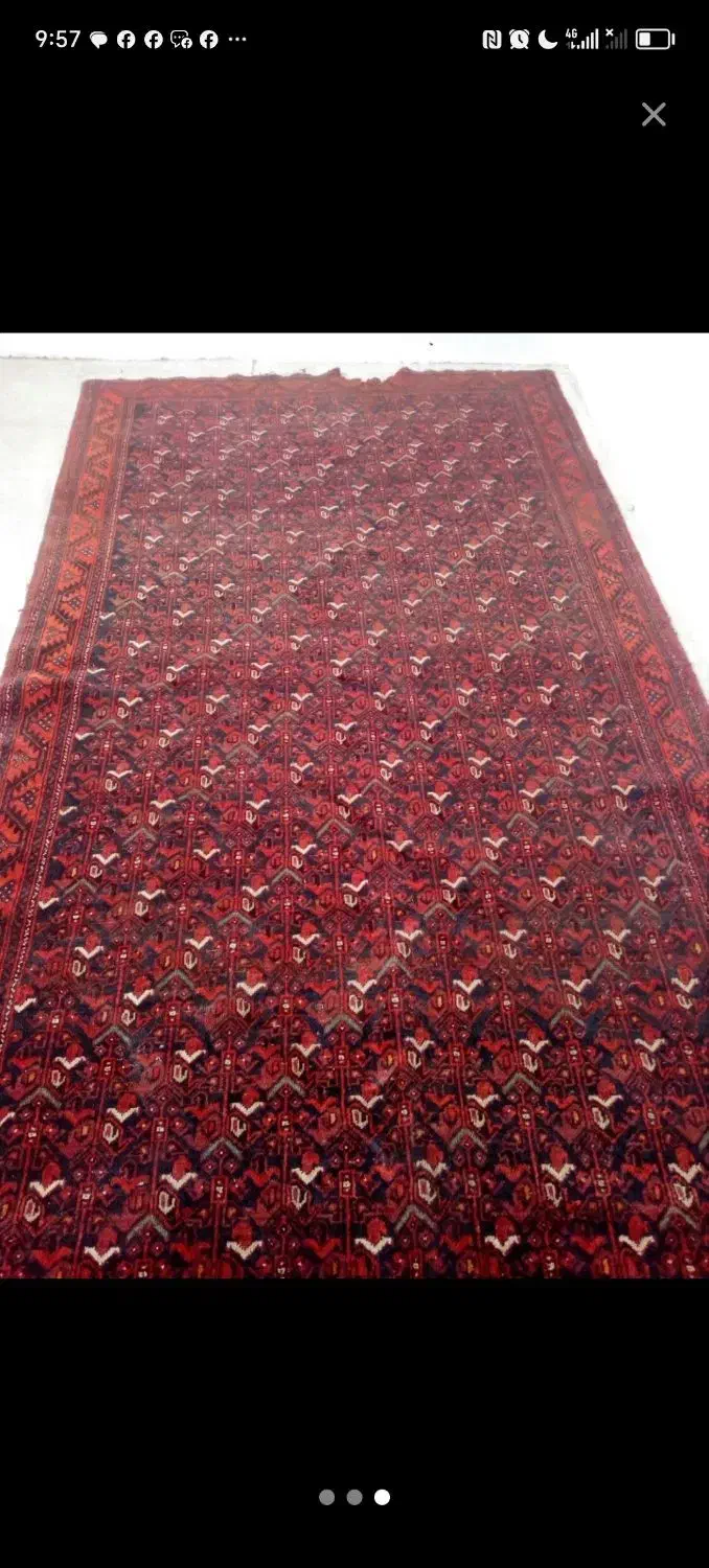 فرش کهنه سرتاسر زابل|فرش|خوی, |دیوار