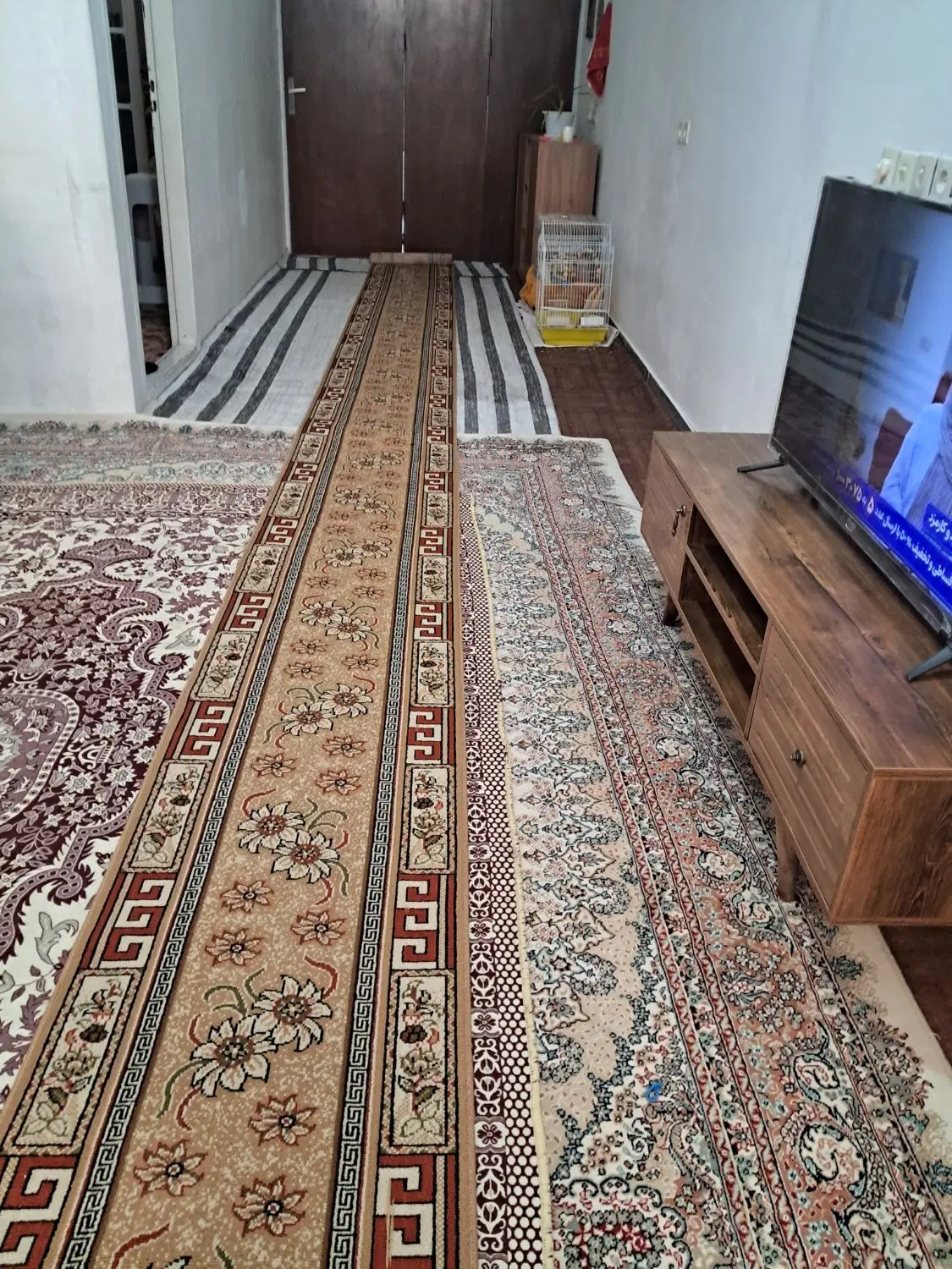 گلیم|گلیم، جاجیم، گبه|بهارستان, |دیوار