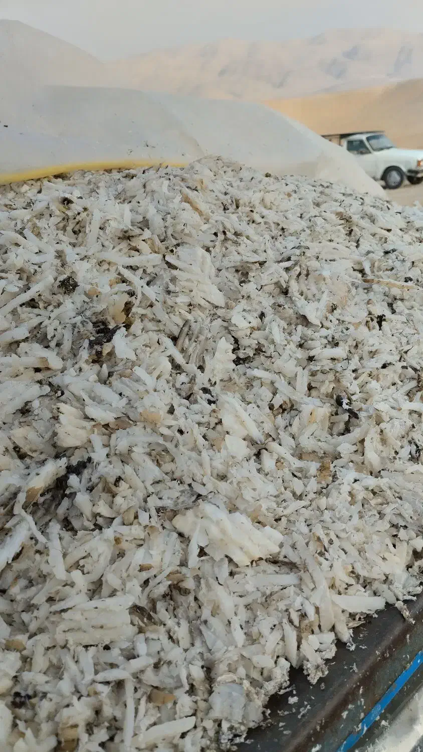 تفاله فله ای آبکی 1500تن فروشی|حیوانات مزرعه|بجنورد, |دیوار