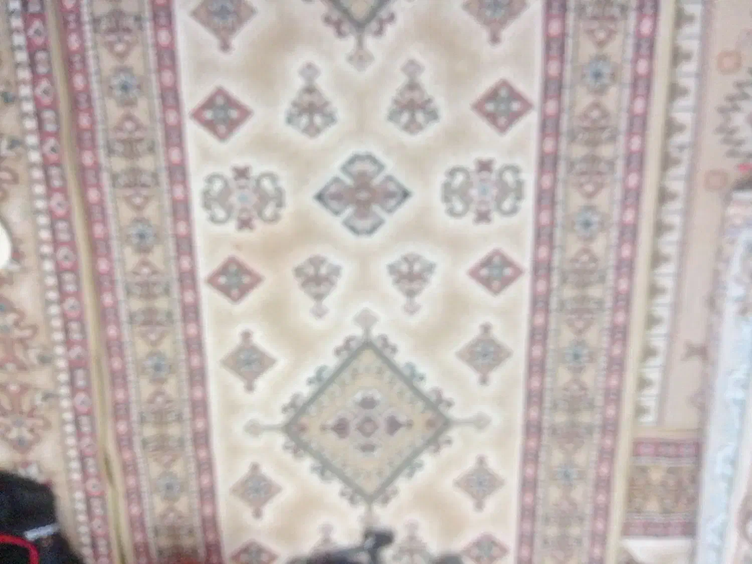 کنار فرشی|فرش|سبزوار, علمدار|دیوار