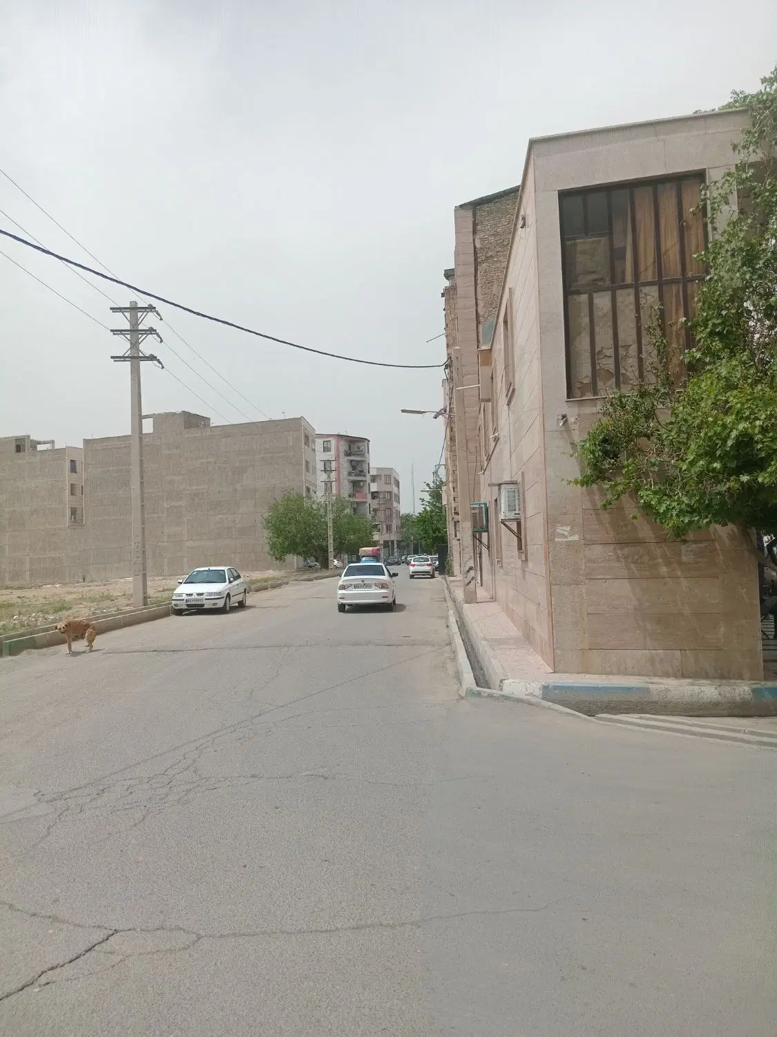 تصویر 8