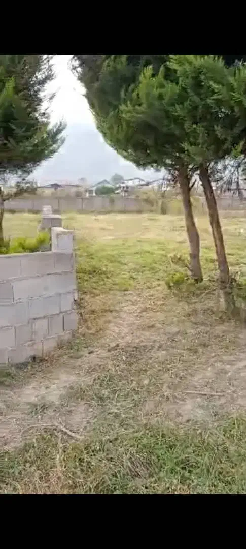 دعا|فعالیت داوطلبانه تحقیقاتی|تهران, شمیراننو|دیوار