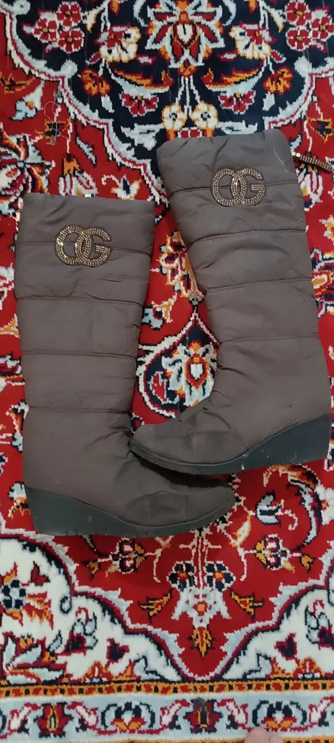 کفش|کیف، کفش، کمربند|تربت جام, معدآباد|دیوار