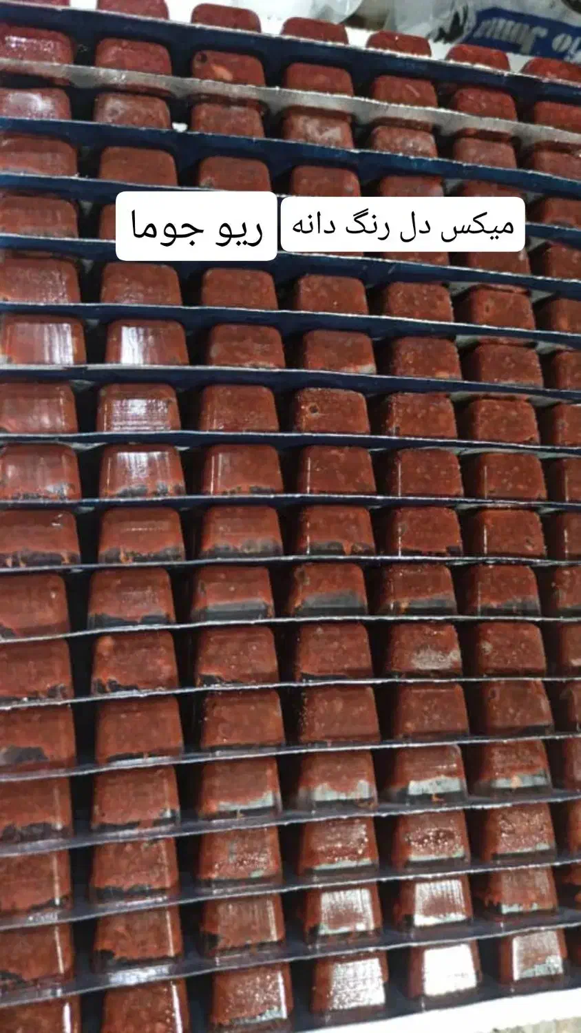 غذا ماهی منجمد|ماهی|زاهدان, |دیوار